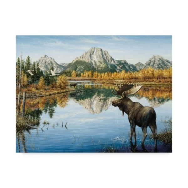 Trademark Fine Art Jeff Tift 'Bull Moose' Canvas Art, 14x19 ALI30172-C1419GG